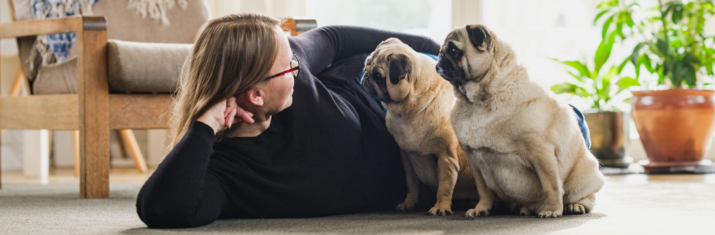 A woman with two pugs