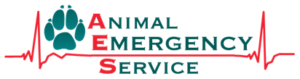 AES logo